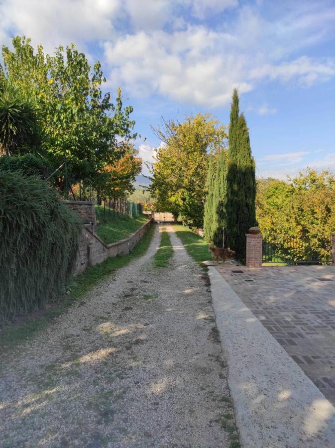 B&B Sole Mio Velletri Exterior foto